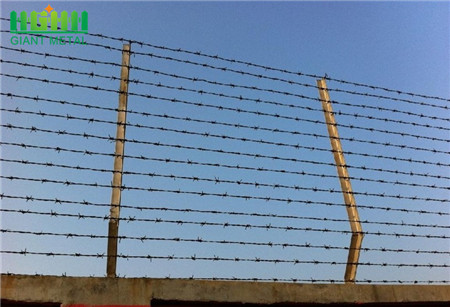 Low price hot dipped galvanized razor barbed wire