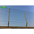 Low price hot dipped galvanized razor barbed wire