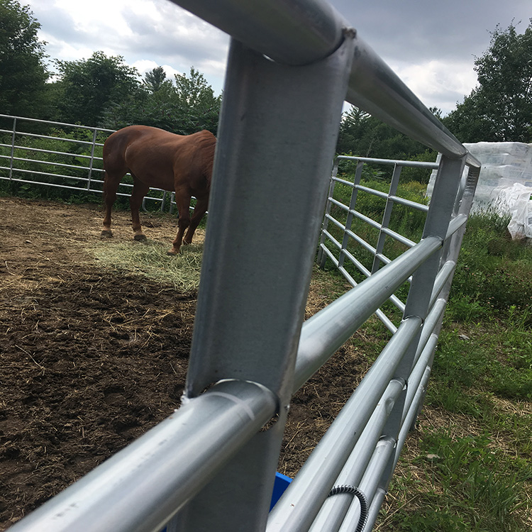 Durable Security PVC 3 Rails Horse Fence/Cattle Fence