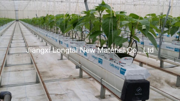 UV Stable Polyproylene Tomoto Hook Twine