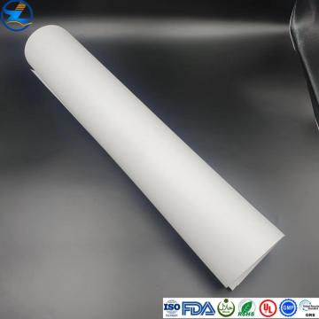 Polypropylene Plastic PP Sheet Roll for Packaging