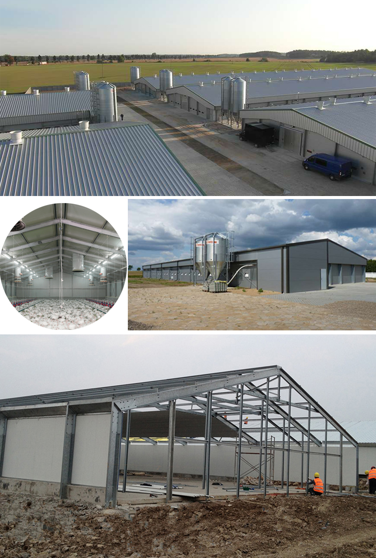 New Design Steel Structure Commercial Chicken House For Closed Chicken House System Botswana