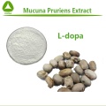 LEVODOPA L-DOPA 98% Порошок мускуна Pruriens экстракт