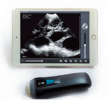 Handheld Veterinary use Ultrasound Scanner