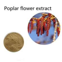 Buy online active ingredients Poplar flower extract powder