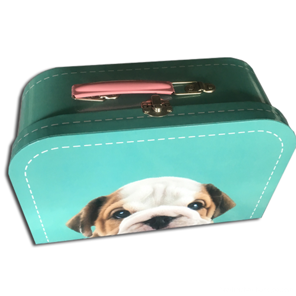 Cyan Color Carry Mini Printed Suitcase Box