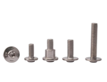 Hexagon Socket Torx Flange Step Screw (Stainless Steel)