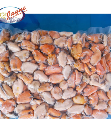 Frozen Half Mussels Blue Mussel Shells With Meat High Quality