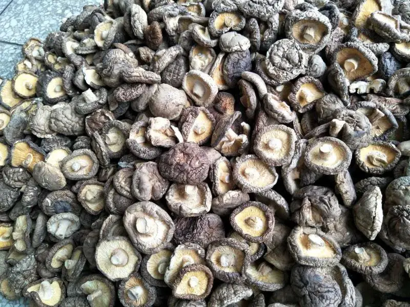 Grade a Mushrooms New Crop Dried Shhiitake