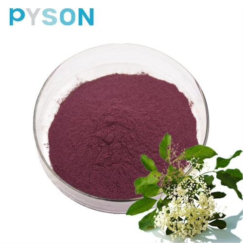 สารสกัดจาก Black Elderberry Anthocyanidins≥25%