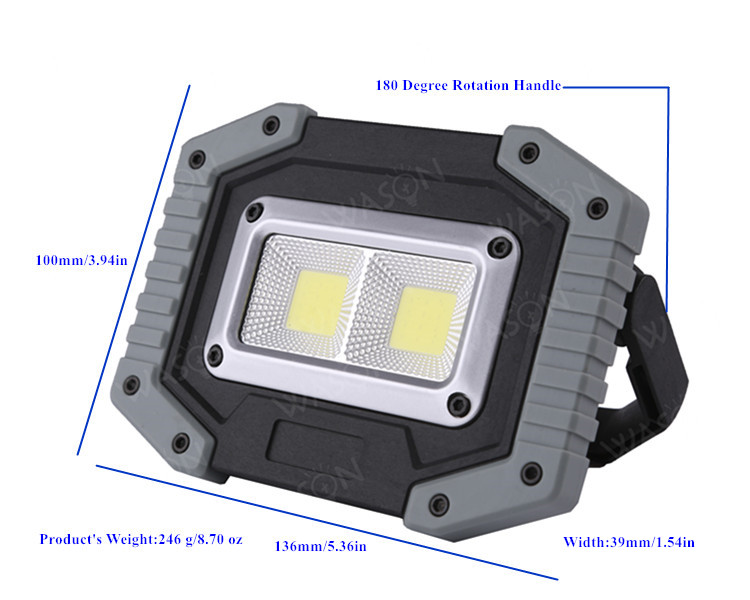 COB Flood Light 