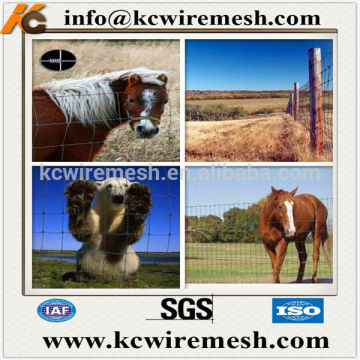 Galvanized Horse Wire Fencing.