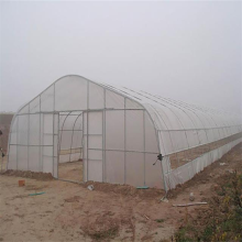 Túnel de invernadero de película para el mejoramiento de semillas