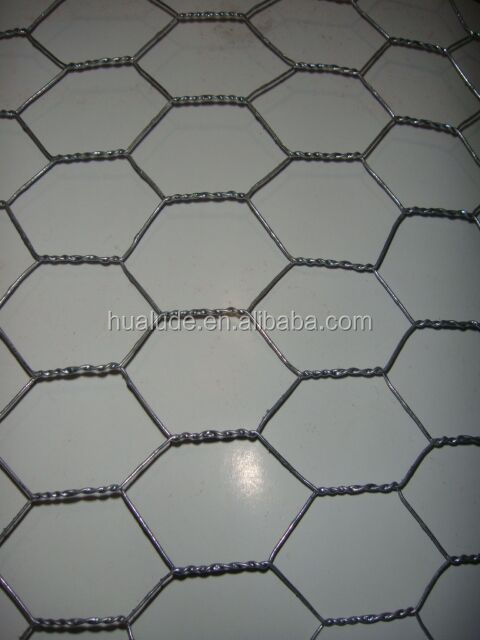 HIgh quality galvanized bird cage welded wire mesh 6x6 reinforcing welded wire