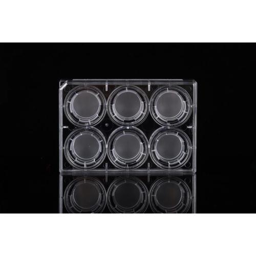 PET Memberane Cell Culture Inserts for 6-well Plates