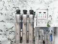 Chunke PLC Micron Computer Control Stainless Steel RO Water Treatment System with CE Certification