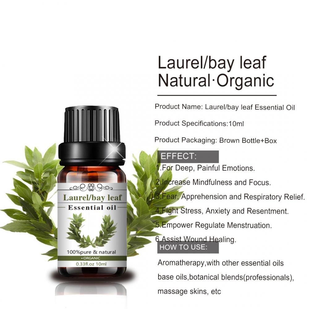 Good Quality Natural Laurel/Bay Leaf Oil Available In Bulk Quantity