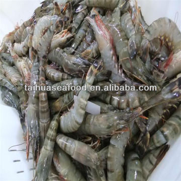 fresh shrimp and fresh seafood market