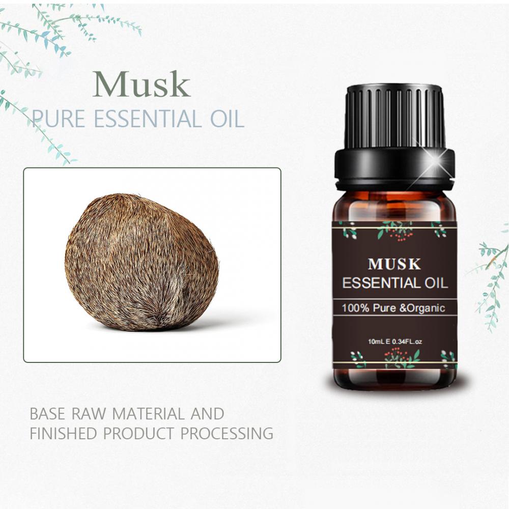 Aromaterapi Musk Essential Oil untuk Minyak Esensial Pijat