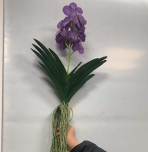 Real Touch Artificial Vanda Orchid for Sale in Factory