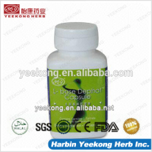 GMP manufacturer L-Base Dephat Capsule,l-carnitine effective lose weight without side effect