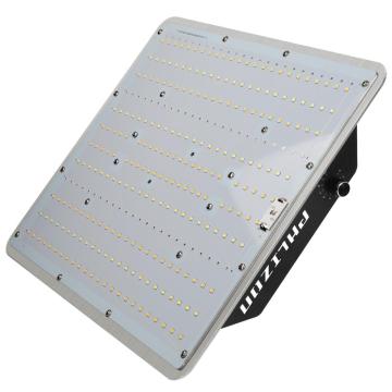 Phlizon Led Grow Lamps untuk Pembungaan Auto