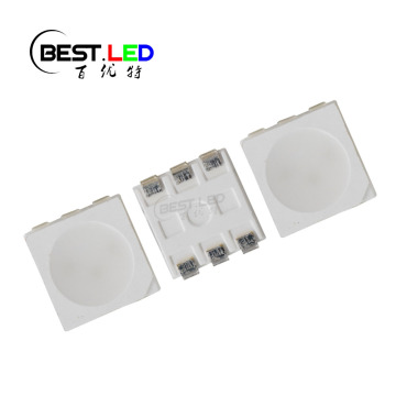 5050 SMD LED 450nm Wavelength Milky Lens