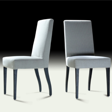 Divany Series Diningroom Furniture Modern Style Dining Chair (C08)
