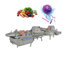 Lettuce and Cabbage Salad Vortex Cleaning Machine