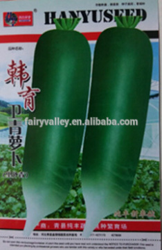 Green radish seed For Planting-Inside And Outside Green