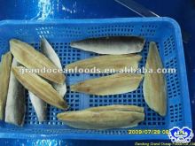 frozen atlantic herring fillet seafood