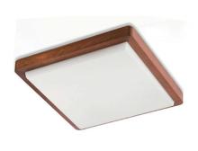 LED Ceiling light led suspended ceiling light