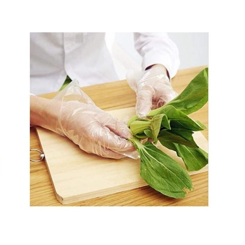 Disposable powder free Vinyl Gloves for food service