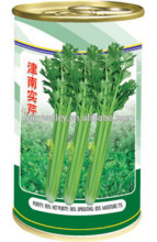 Good Price High Quality Celery Seed For Planting-South Tianjin Celery