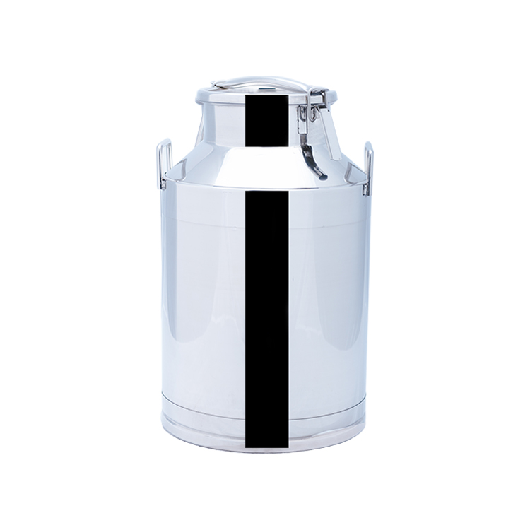 automatic fresh 10l home small 1000 liter milk pasteurizer machine