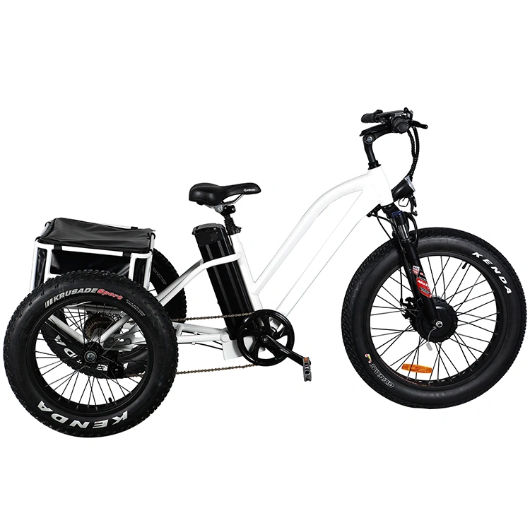 48V500W Electric Tricycle Big Loading E Bike