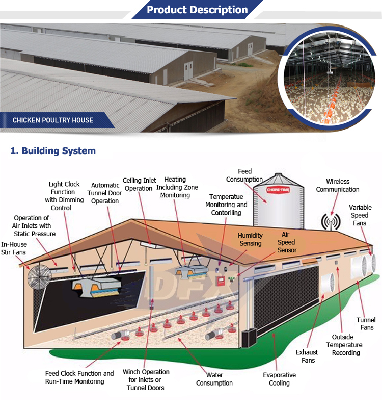 Qingdao Director Steel Structure Chicken House Light Steel Structure Prefabricated Poultry House Building