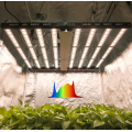 Lámpara de cultivo de LED de planta interior de 1000 vatios de 1000 vatios