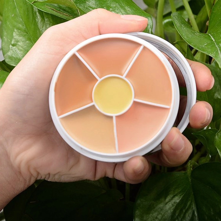 Vegan Cream Concealer Makeup Private Label Cosmetics Concealer Contour Palette Make up Concealer