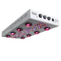 5 Años de Garantía LED Grow Light