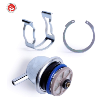 Fuel Pressure Regulator - Part Numbers 89060418, 17113536, 19245529, 12579942, 12583236, 17113660, 89060420, 17113555, 12499841, 2173072" 

(Note: It seems there might be a repetition or formatting issue with "217-3072" and "2173072". I've included both a