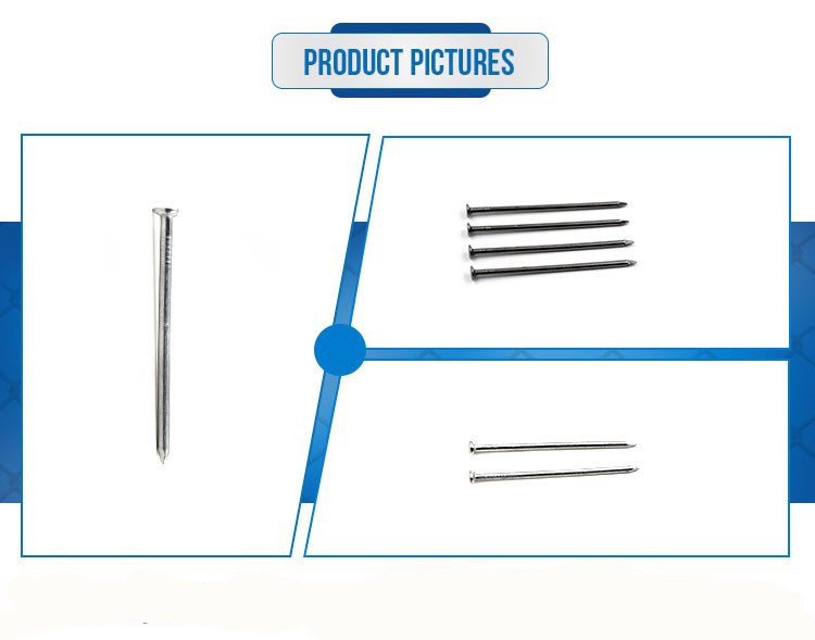 Common Wire Nails /Iron Nails /Pointe Factory Cheap Price