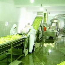 Dehydration processing line for vegetables and fruits