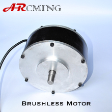 48V 1KW Brushless Hub Motor