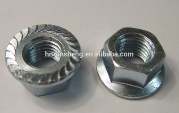 Hexagon Flange Nut