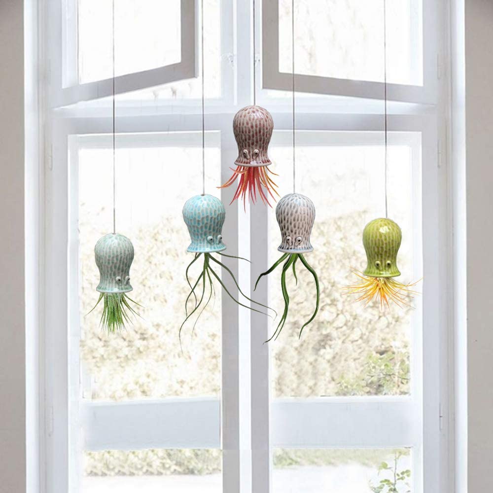 Schattige octopus luchtplant hanger muurplanter