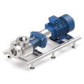 Eccentric Rotary Screw Pump