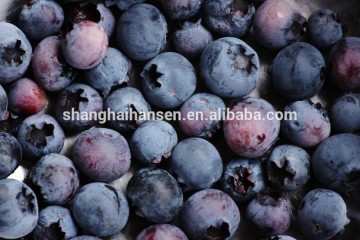 Wild Blueberry import and export agent