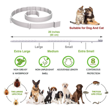 Collare per cani di prevenzione delle pulci e delle pulci