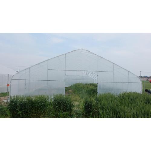 Compre Tunnel Greenhouse, Hoop Greenhouse For Vegetable